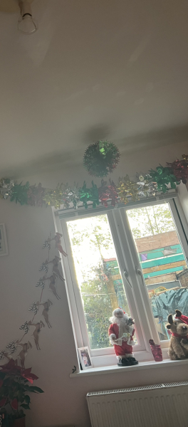Yes, I know they're unpopular on here but I fancy tinsel, and ceiling decorations this year!