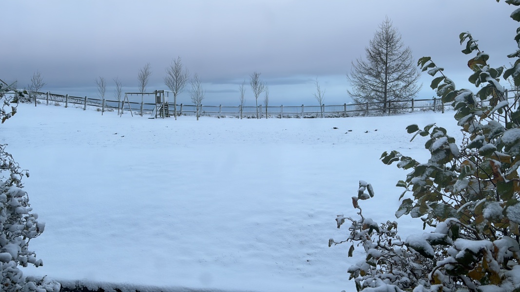 It’s snowing ❄️