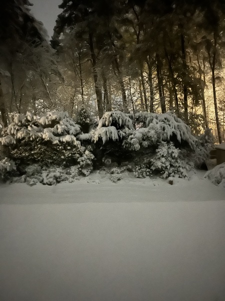 Is it snowing yet where you are?