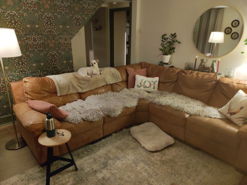 Has anybody got a fire or logburner lit at home today?