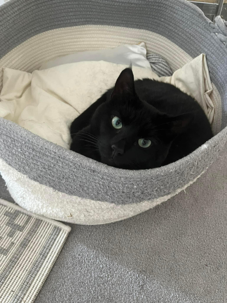 Do you have blankets downstairs?