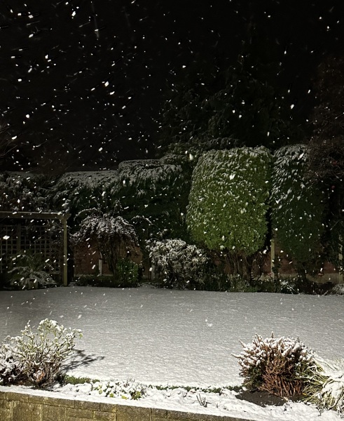 It’s snowing ❄️