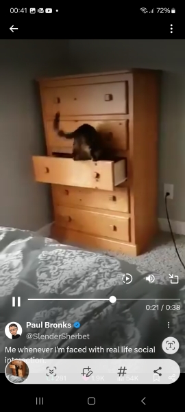 Bluestocking: the one where Boiled gets to the bar first!