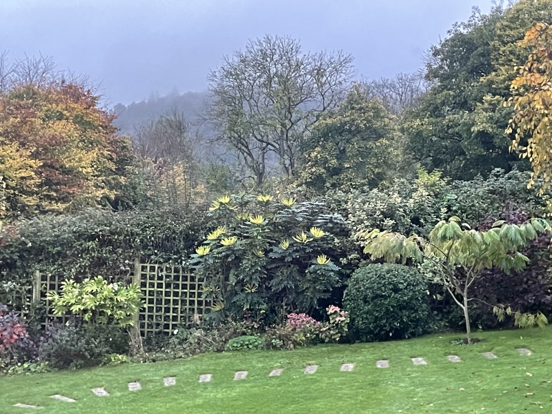 The Nigel Slater Christmas Chronicles Readalong 2024