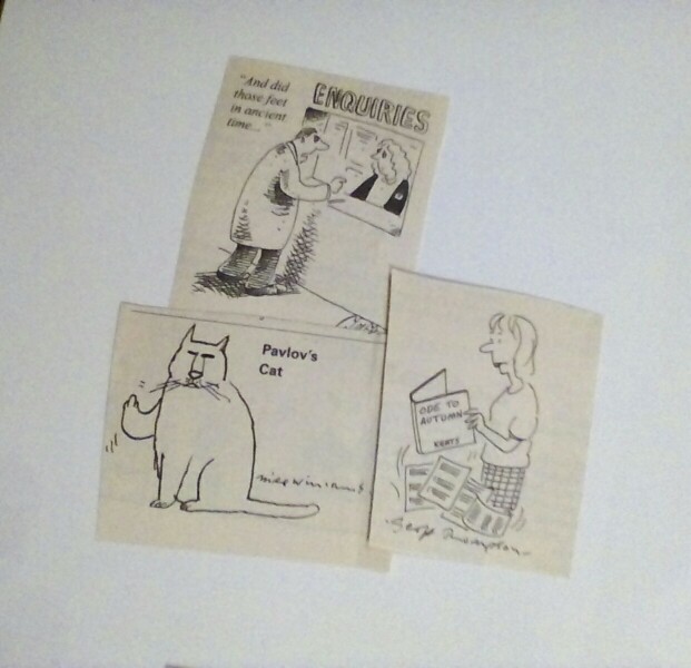 Autumn leaves, crackling fires, quokkas and puffins at the Bluestocking.