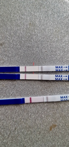 Does anyone see anything on these tests