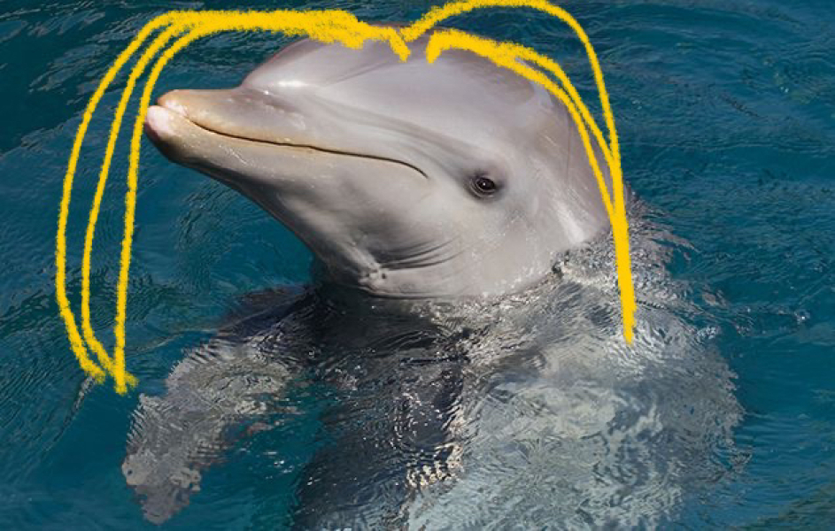 Mounjaro August starters thread 8