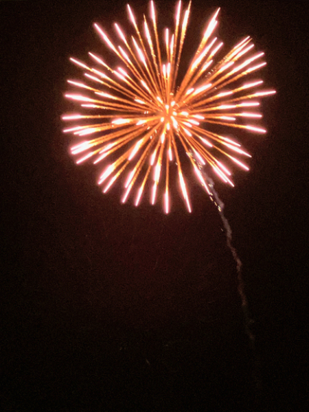 The Nigel Slater Christmas Chronicles Readalong 2024