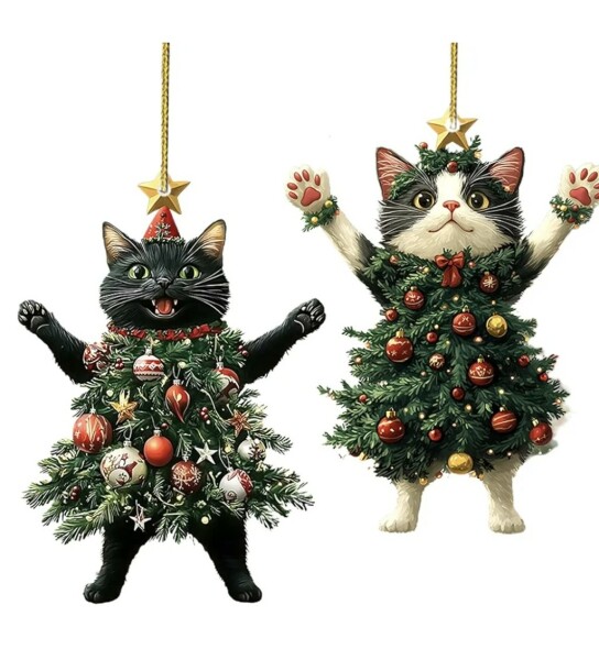 Thread 12 Starmer: From Prescott to Rayner, working class grit