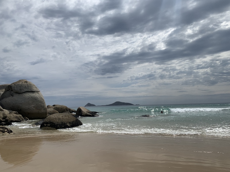 The Great Cancer Recovery part 3