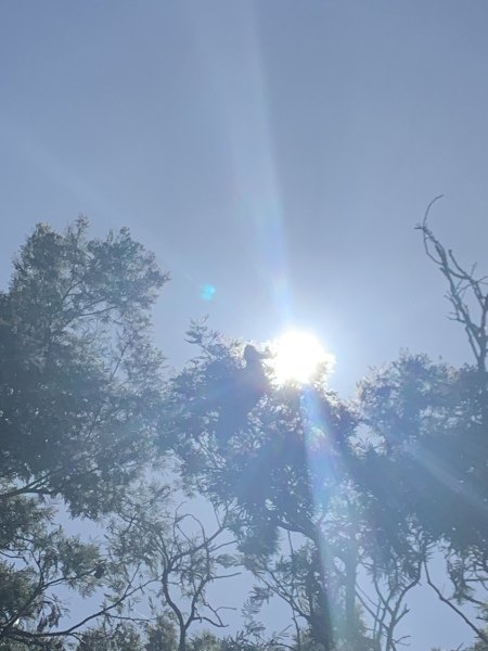 The Great Cancer Recovery part 3