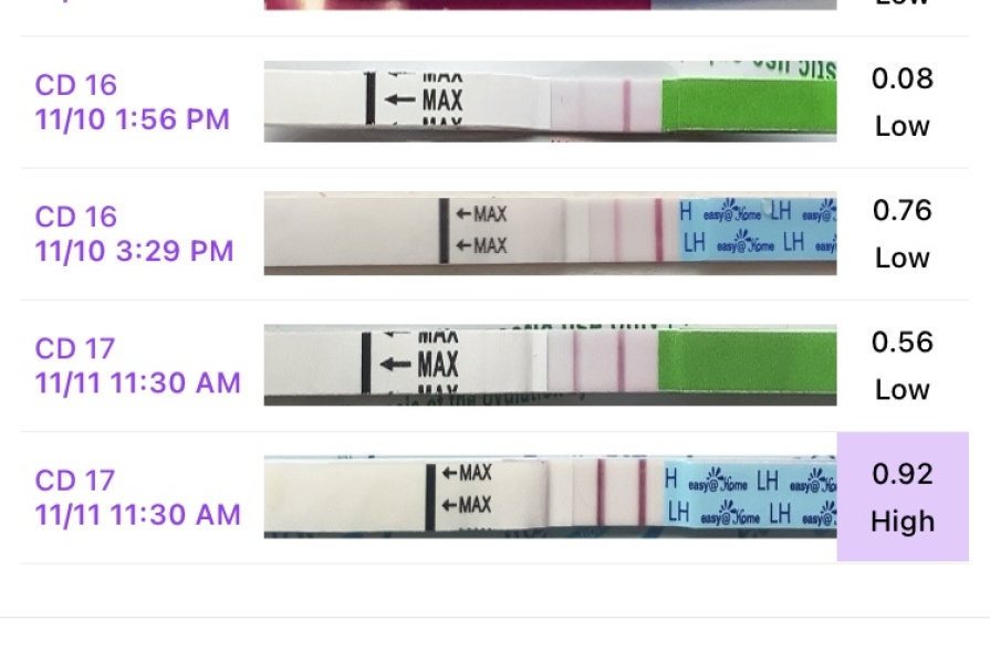 Nov 2024 TTC 💖 part 2 ✨