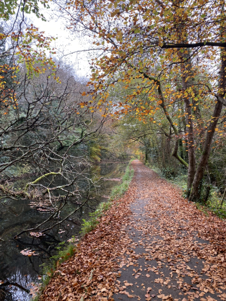 Come and tell me your dull and unexciting news 31: Calmly through the day