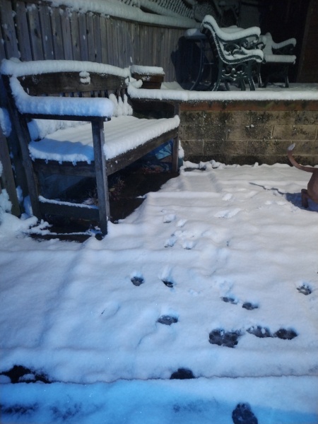 It’s snowing ❄️