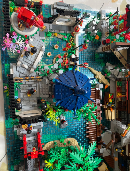 To show me your Lego collection?