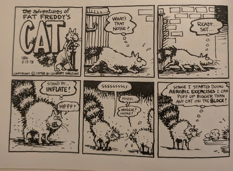 Trick or Cat Treat? The Excellent Cats do Halloween