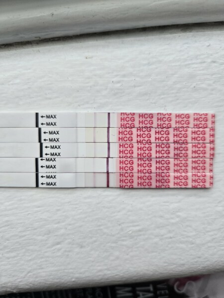 Postive tests after miscarriage