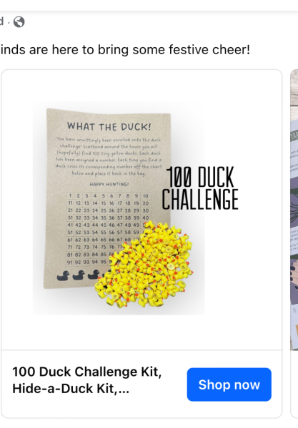 Ideas for duck themed Christmas