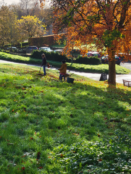The Vegetable Patch 2024/2025