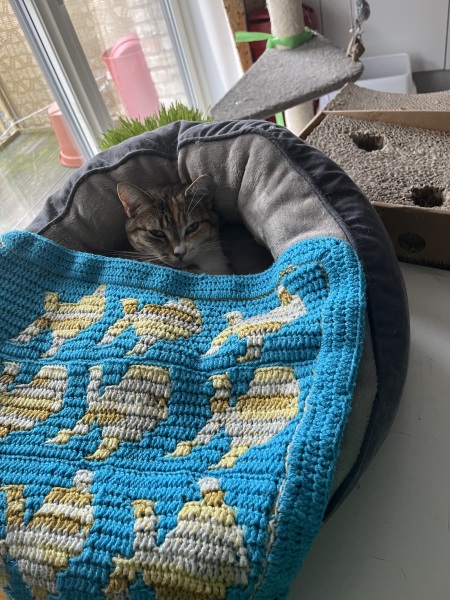 Does anyone knit / crochet / sew / create items for their home?