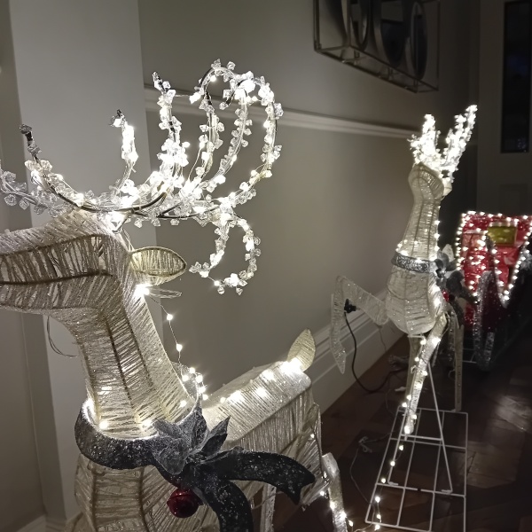 Poncetastic Christmas 2024