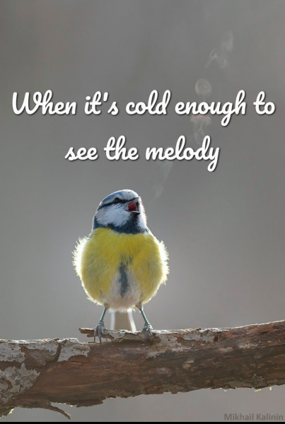 Thread 12 Starmer: From Prescott to Rayner, working class grit