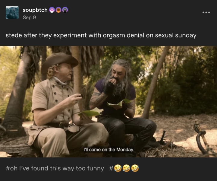 Our Flag Means Death - Thread 5:  Ahoy! Surrender! You have no chance of escape!