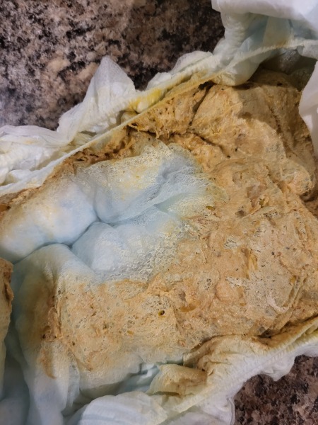 Do I need to go to doctor? Poo picture