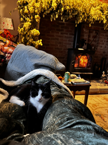 Has anybody got a fire or logburner lit at home today?