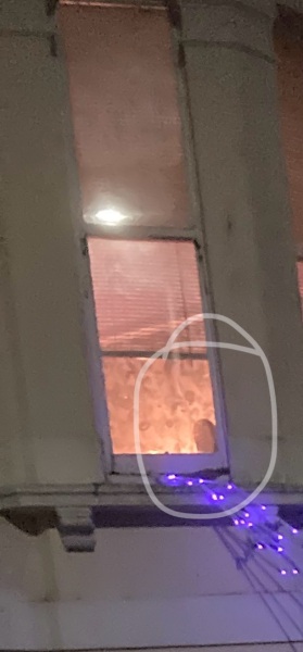 To see a face in this picture?
