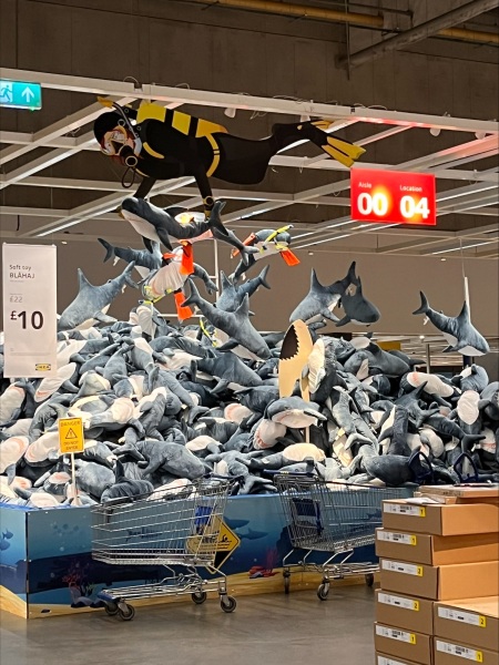 Thread 10 - the one with a rubber dick each