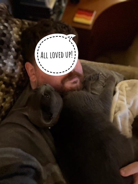 Trick or Cat Treat? The Excellent Cats do Halloween