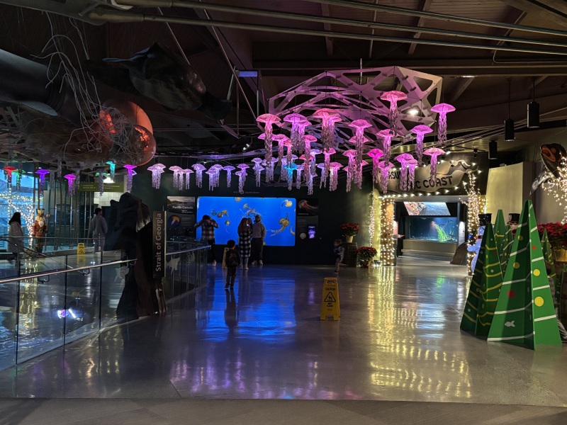 Come and tell me your dull and unexciting news 31: Calmly through the day