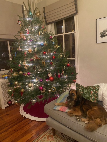 Show us your Christmas trees