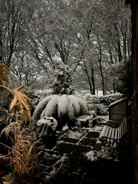 It’s snowing ❄️