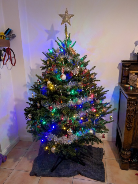 Show us your Christmas trees