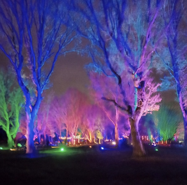 Come and tell me your dull and unexciting news 31: Calmly through the day