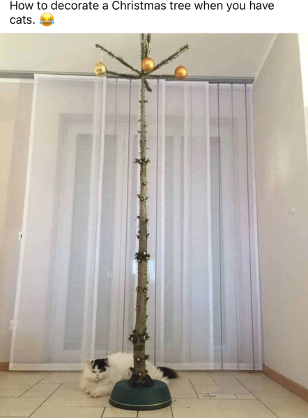 Season of mist and mellow fruitfulness...and ramping up those Christmas preparations! Countdown to Christmas 2024 (thread 3) (title edited by MNHQ @request of OP)