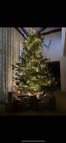 Show us your Christmas trees