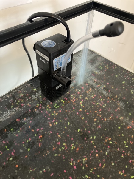 Aquarium filter question - total newbie
