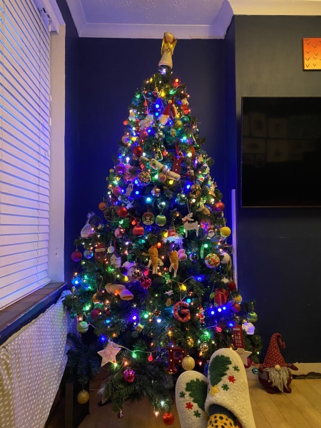 Show us your Christmas trees