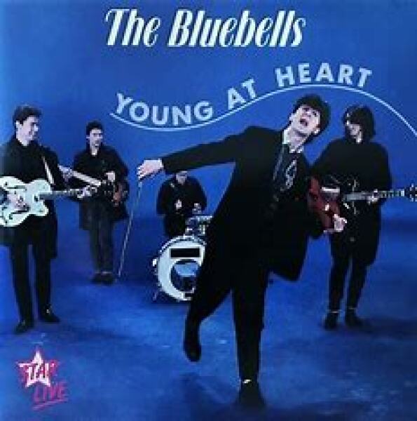 Bluestocking: Do androids dream of electric hair?