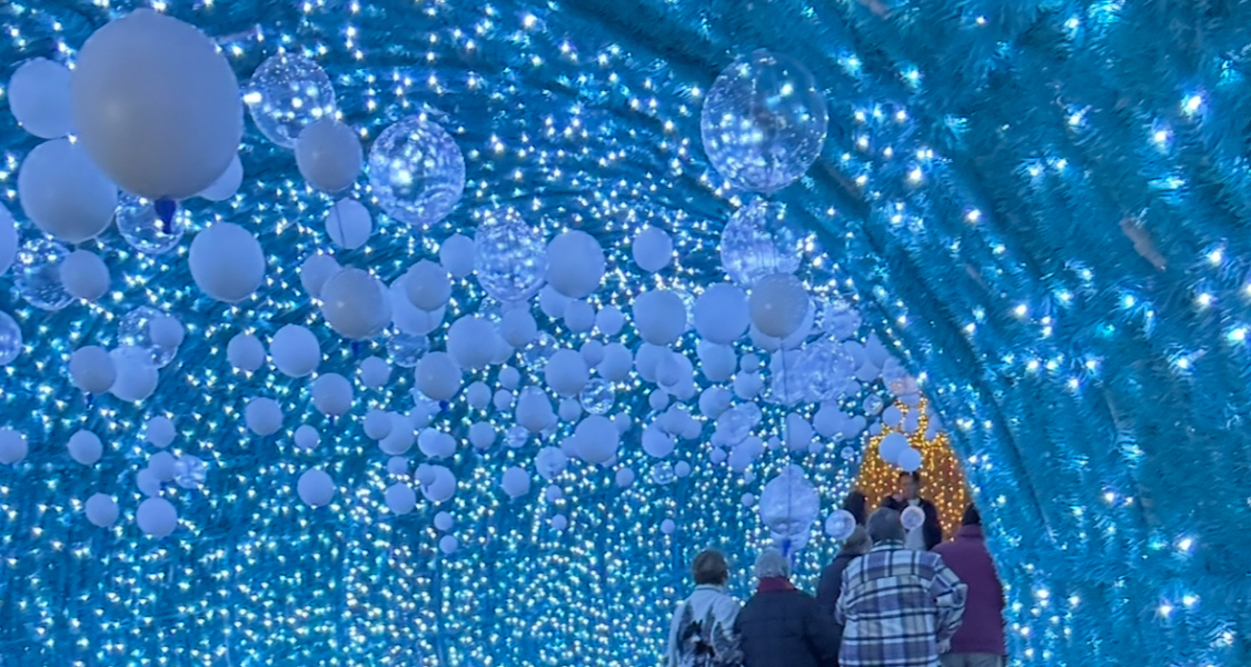 Come and tell me your dull and unexciting news 31: Calmly through the day