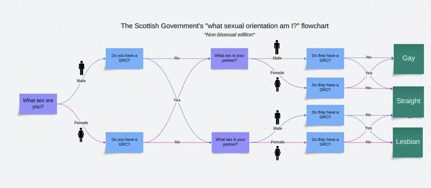 For Women Scotland in the Supreme Court: LESBIANS