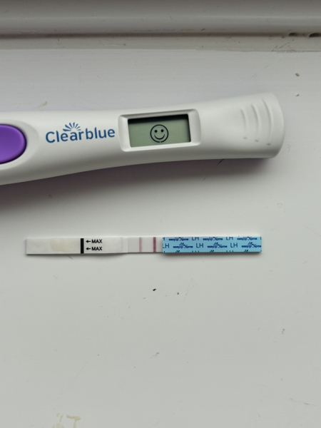 To think I'm close to ovulation after this scan?