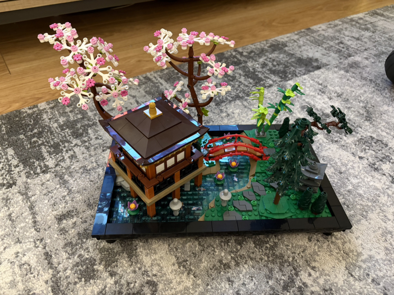 To show me your Lego collection?
