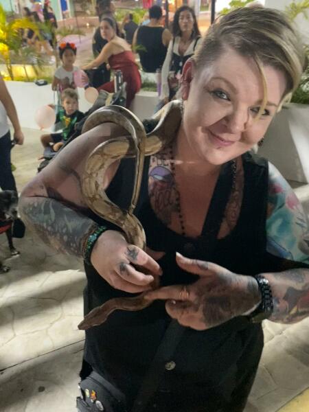 Trick or Cat Treat? The Excellent Cats do Halloween