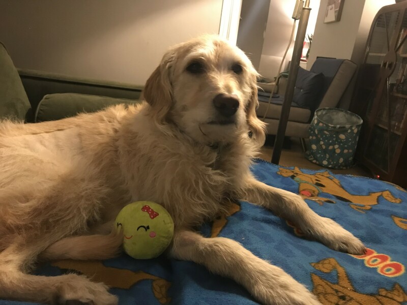 The Great Cancer Recovery part 3