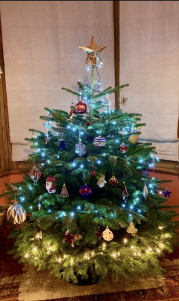 Show us your Christmas trees