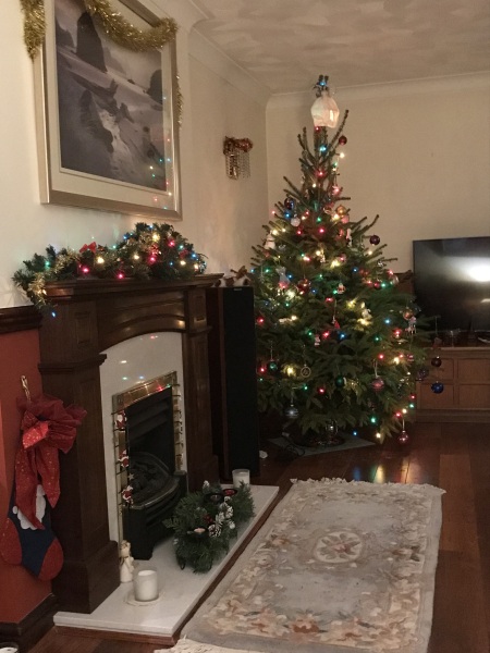 Show us your Christmas trees